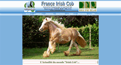 Desktop Screenshot of irishcob-fr.org