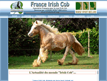 Tablet Screenshot of irishcob-fr.org